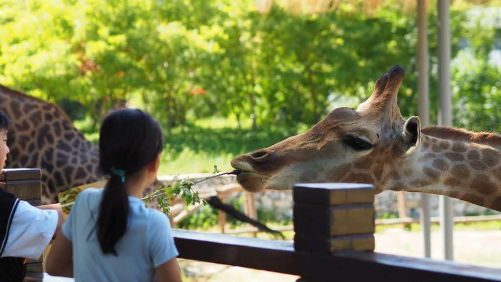 Zoo